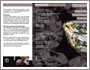 flyer_diamantenfonds_2010